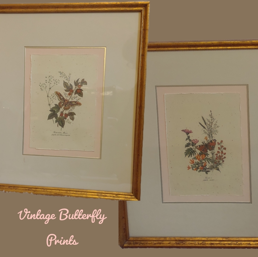 Two Vintage Butterfly, Moth, & Flower Prints in Elegant Giltwood Frames EUC
